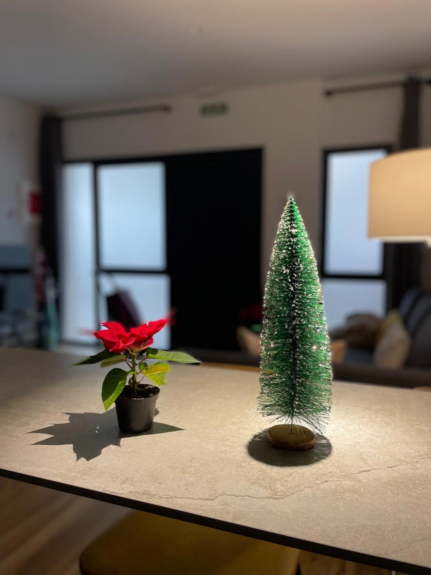 Junto Al Jardin Del Turia Apartamento Valensiya Dış mekan fotoğraf